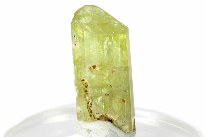 Gemmy Yellow-Green Apatite Crystal - Morocco #276551